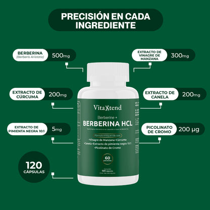 Berberina HCL 97% Pureza – Fórmula 6 en 1 | 120 Cápsulas